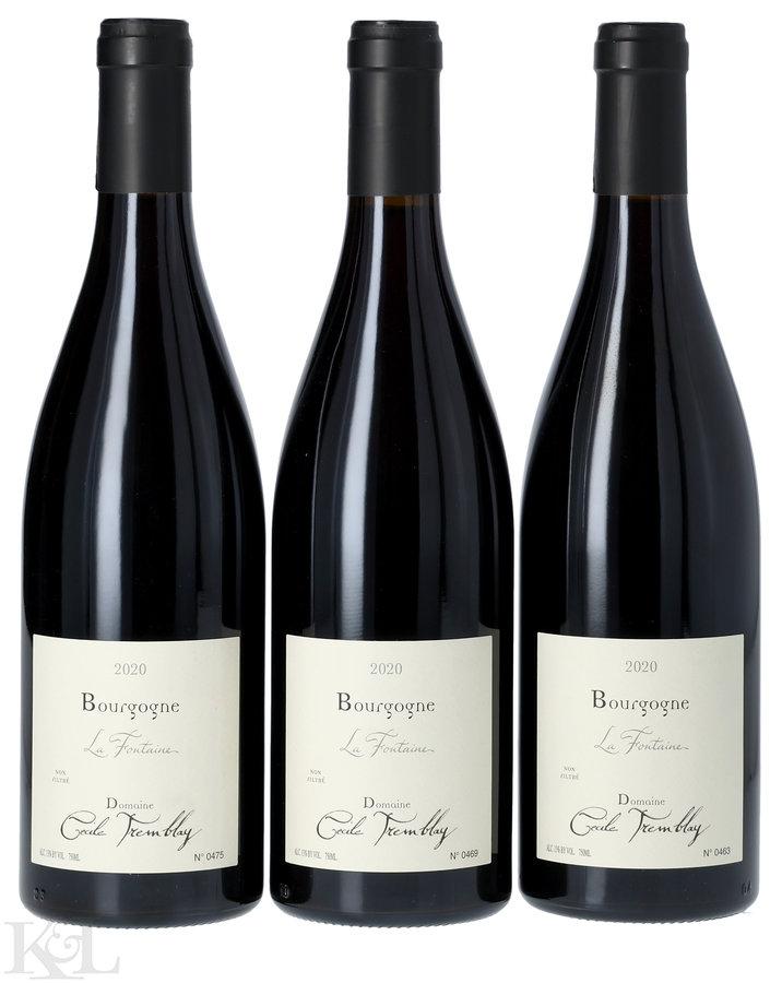 2020 Domaine Cecile Tremblay Bourgogne "La Fontaine"