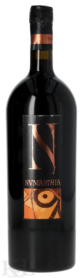 2004 Bodegas Numanthia-Termes "Numanthia" Toro (1.5L)