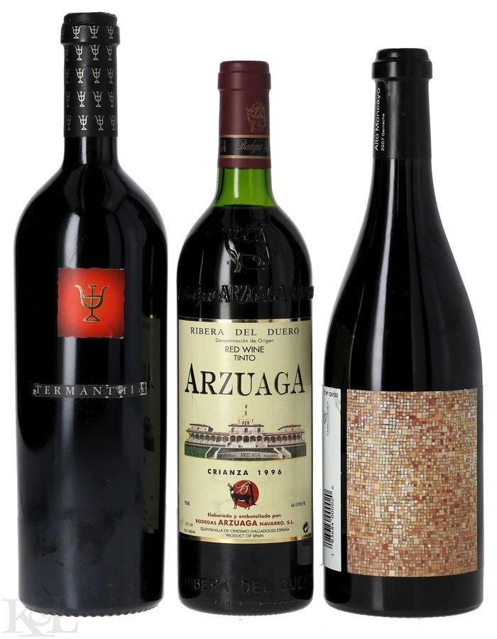 Spanish Red Wine Tasting Lot